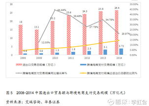 跨境電子支付發(fā)展勢頭迅猛 中國對外貿(mào)易與電子商務(wù)的雙輪驅(qū)動機遇。